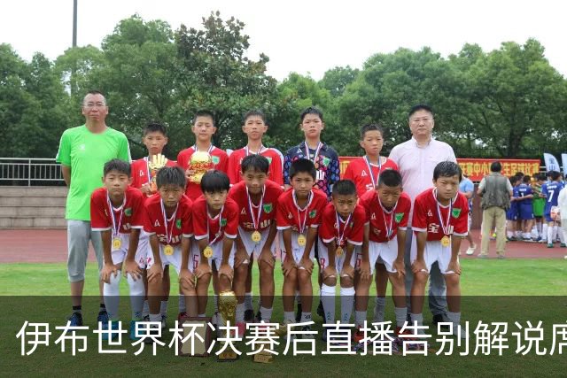 伊布世界杯决赛后直播告别解说席：“这是我第一次也是最后一次”