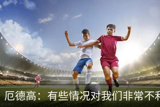 厄德高：有些情况对我们非常不利，这让结果显得格外令人遗憾