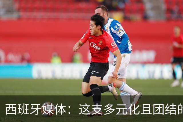西班牙媒体：这支多元化且团结的球队，就是西班牙该有的样子