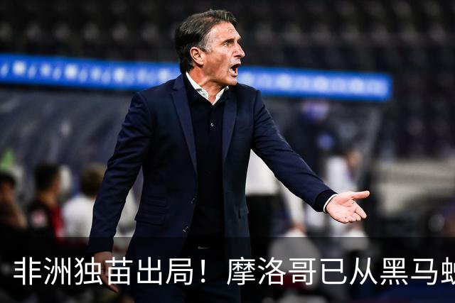 非洲独苗出局！摩洛哥已从黑马蜕变为劲旅 四年后主场见